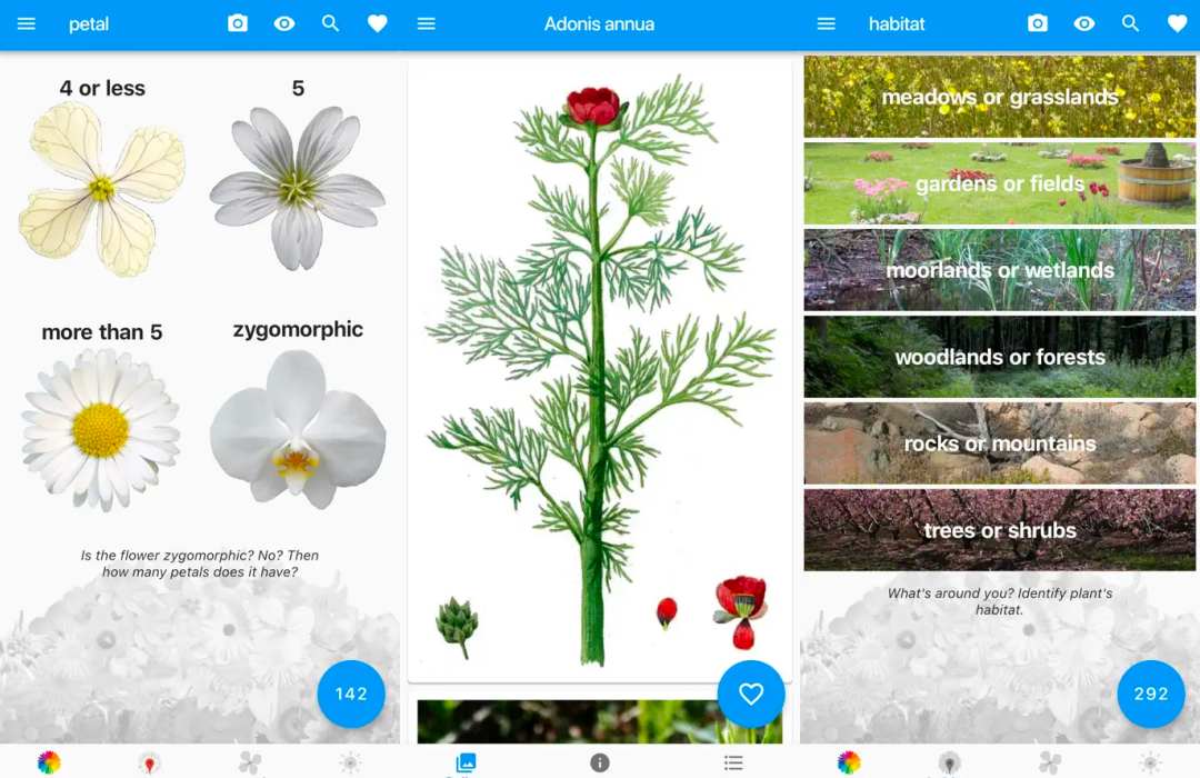 植物辨識 App 推薦：那朵花是什麼？