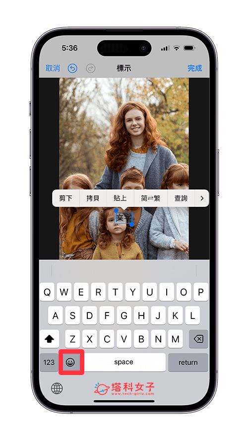 iPhone 照片加表情符號教學，為照片加上 Emoji 遮臉 - Emoji, iPhone 表情符號, 表情符號, 表情符號鍵盤 - 塔科女子