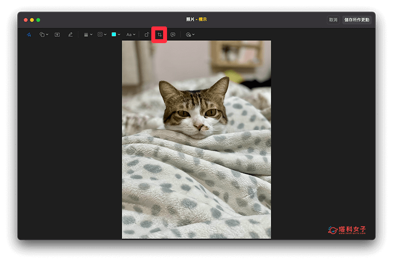 使用「照片」編輯工具為 Mac 裁切圖片：選擇裁切工具