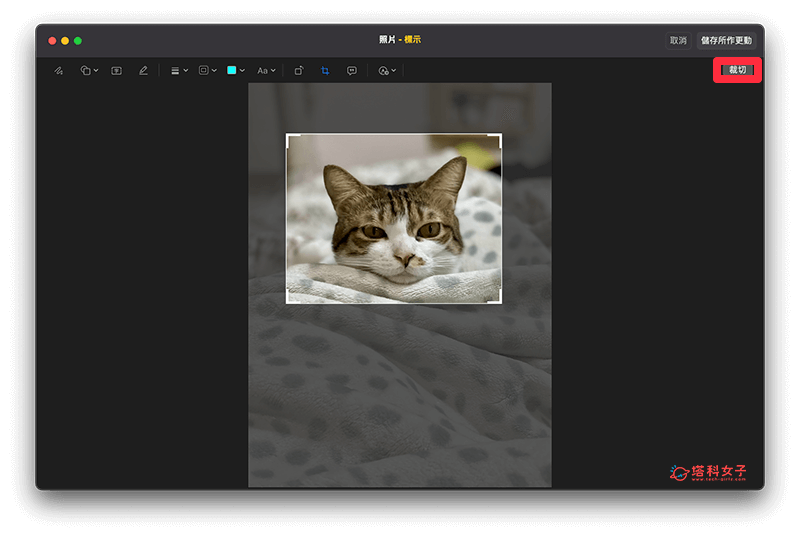 使用「照片」編輯工具為 Mac 裁切圖片：裁切