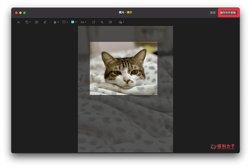 使用「照片」編輯工具為 Mac 裁切圖片：儲存所做更動
