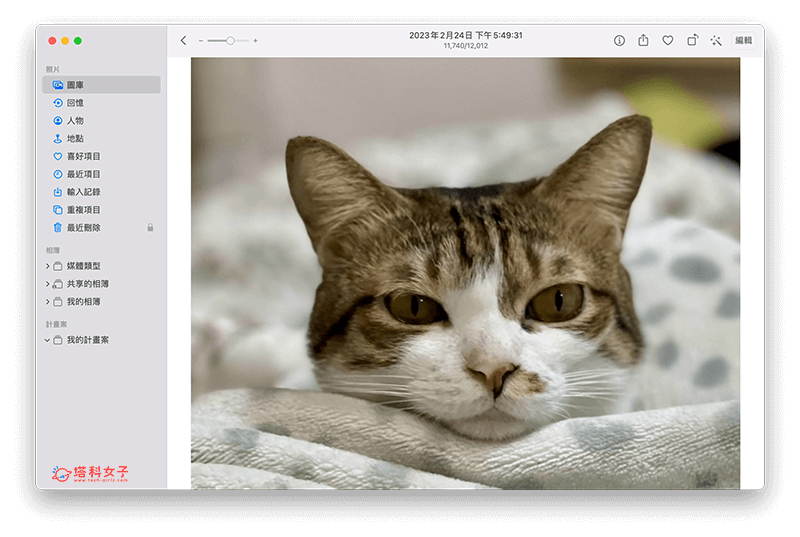 使用「照片」編輯工具為 Mac 裁切圖片：儲存