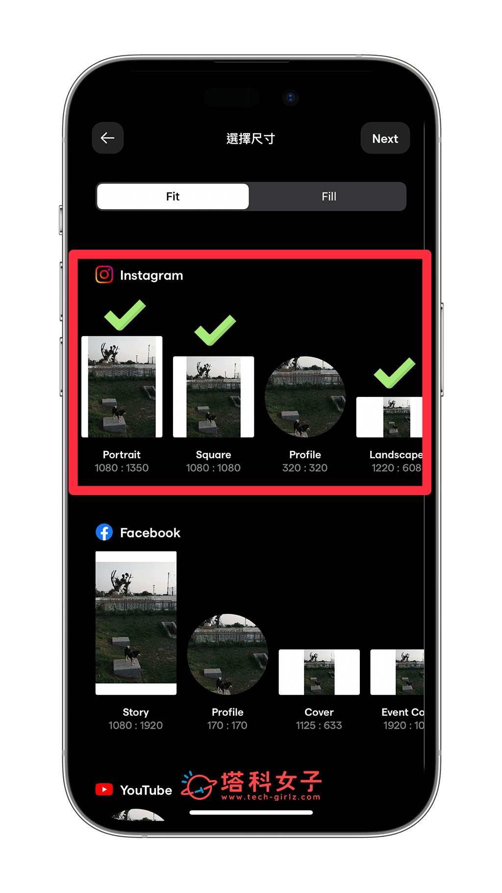 IG 多張照片不同尺寸發佈到貼文（InstaSize App）：選擇版面
