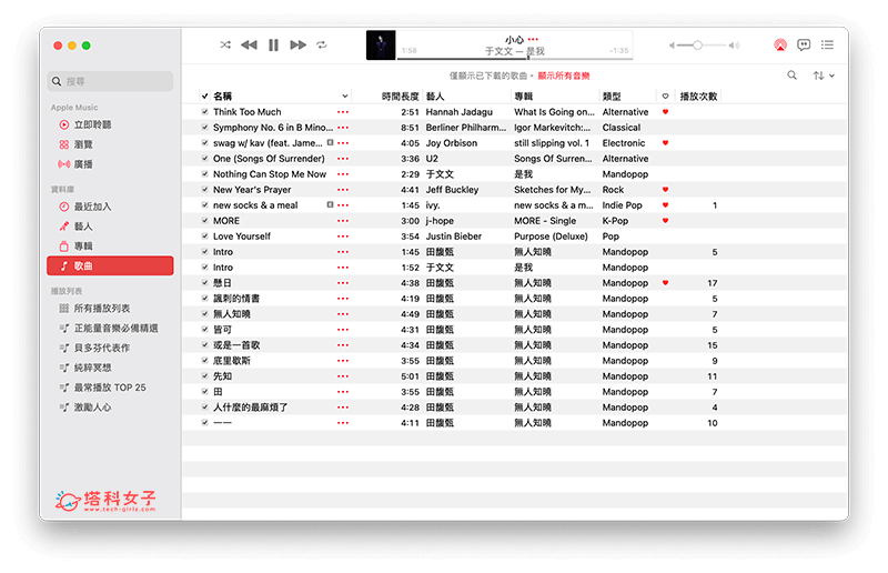 查看已下載到 Mac 的 Apple Music 音樂