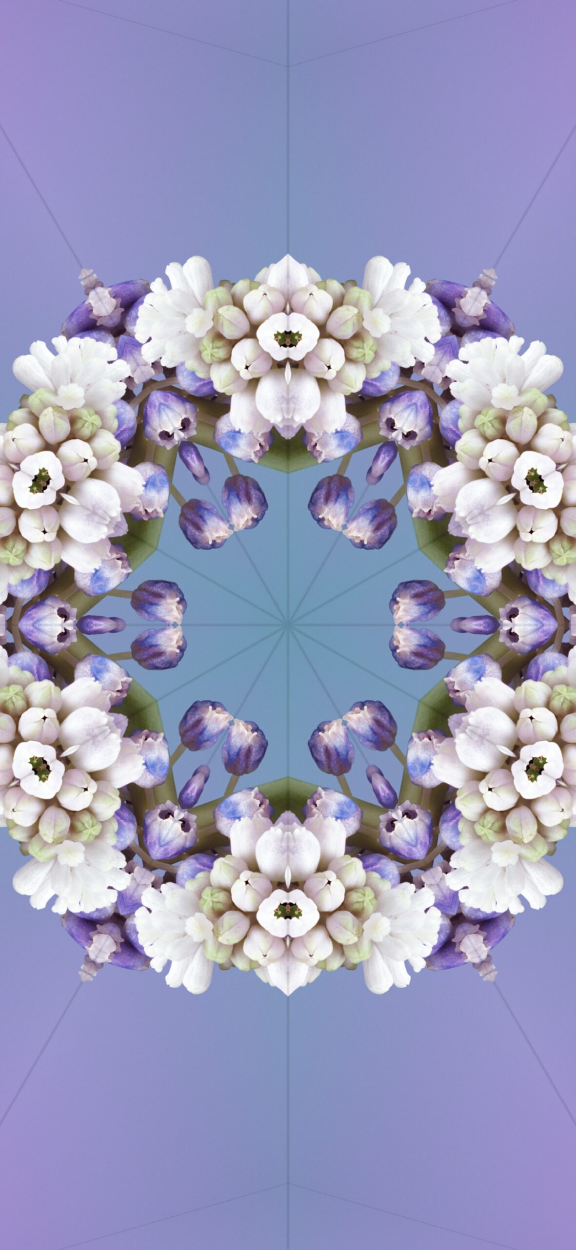 iOS17 桌布款式十：淺紫色花朵萬花筒桌布