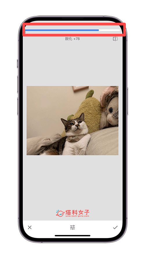 iPhone 照片銳化方法 Snapseed App：調整銳化程度
