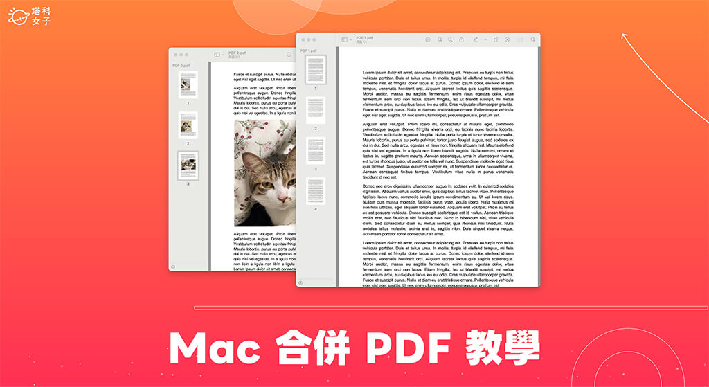 Mac 合併 PDF 教學，3 個方法免費將多個 Mac PDF 合併成一個檔案