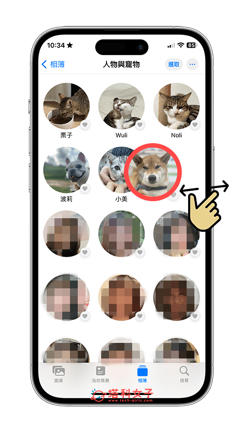 iPhone 寵物相簿自動辨識寵物照片：更改寵物相簿排序