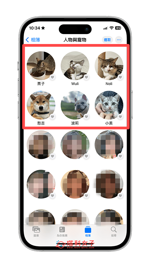 iPhone 寵物相簿自動辨識寵物照片：查看寵物相簿