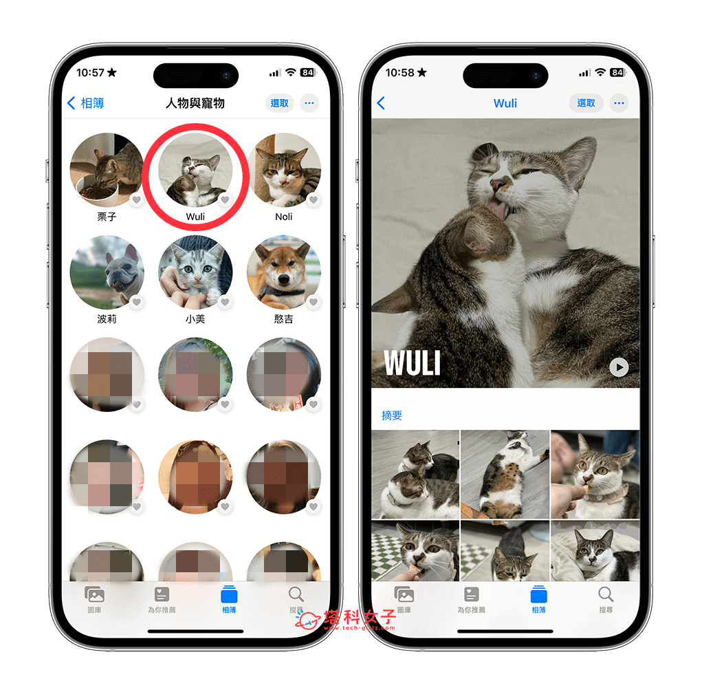 iOS 17 寵物照片識別功能