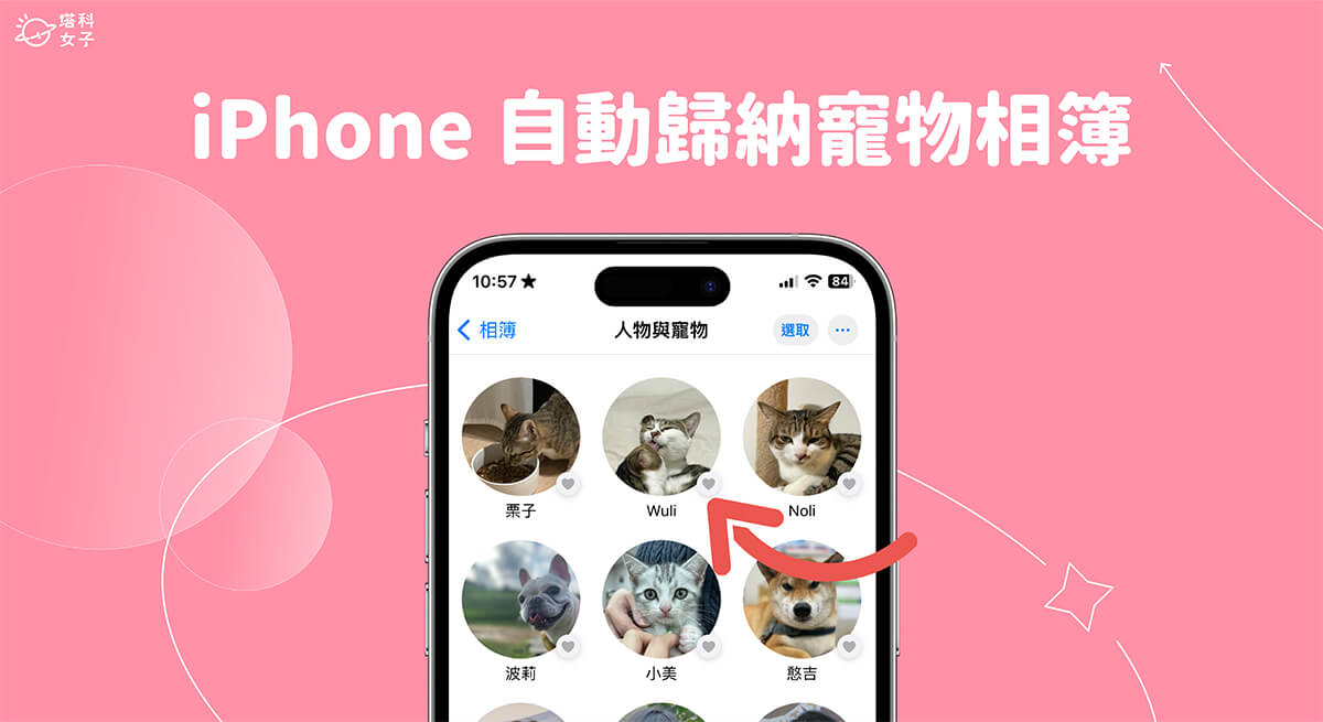 iOS 17 功能 11. iPhone 寵物相簿功能