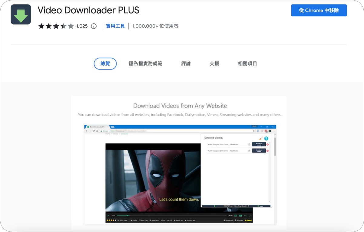 Google Chrome 擴充功能 9：Video Downloader PLUS（影片下載）