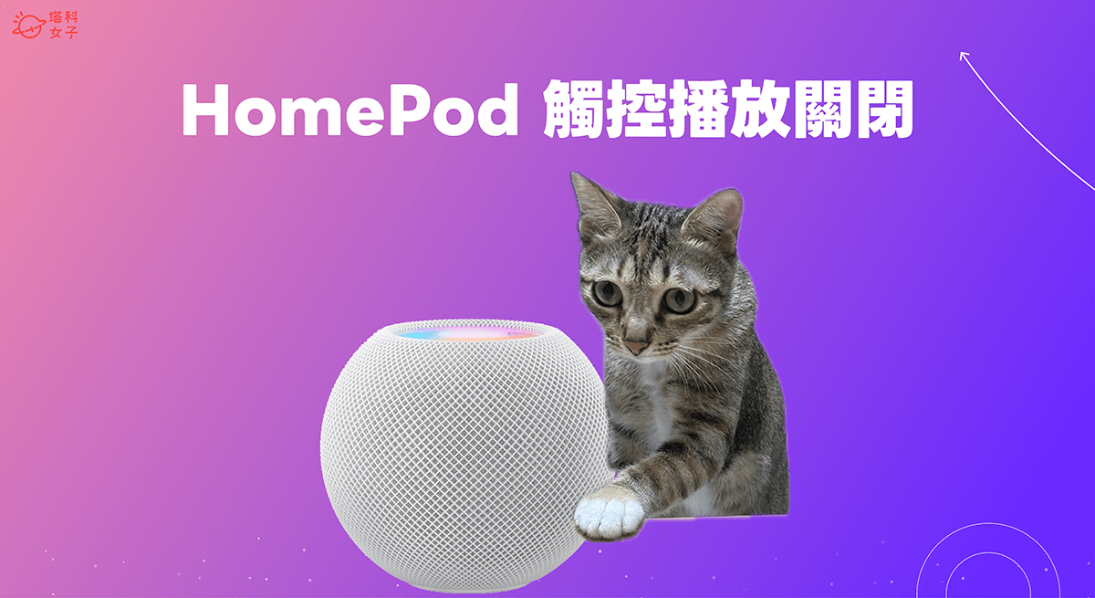 HomePod mini 觸控播放關閉教學，避免貓咪玩 HomePod 半夜播放音樂
