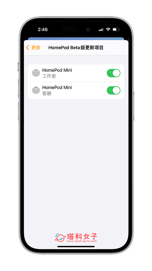 安裝並更新 HomePod Beta 公測版：HomePod mini