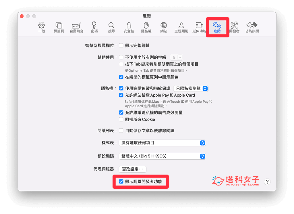 Mac 開啟 Safari 開發者工具：進階 > 顯示網頁開發者功能