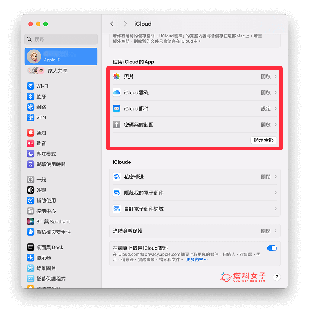 Mac 關閉 iCloud 同步：選擇功能