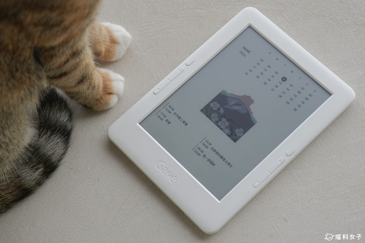 HyRead Gaze Mini C 彩色 6 吋電子書閱讀器開箱：窩窩聯名款「動物曆」