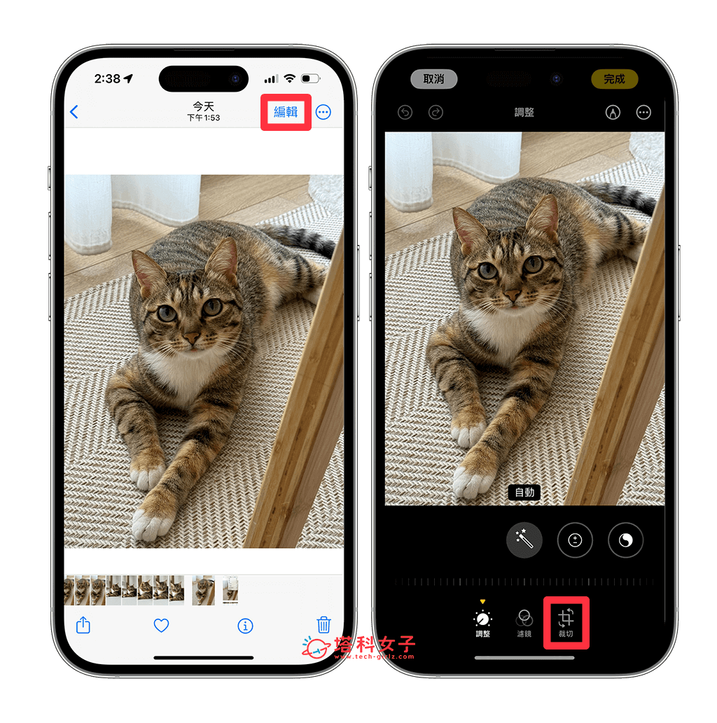 使用「背景圖片工具」將 iPhone 照片轉桌布圖片：編輯 > 裁切
