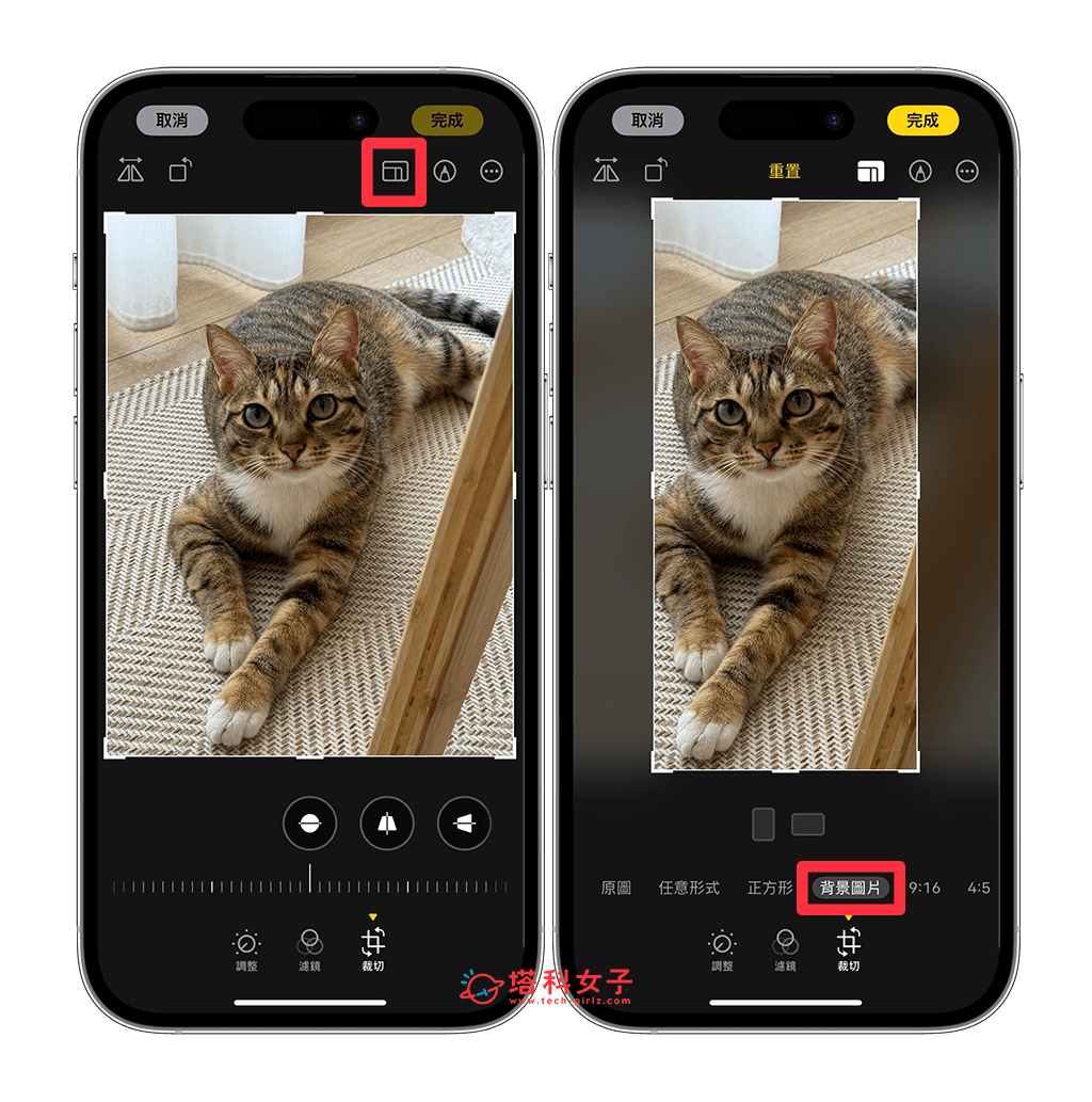 使用「背景圖片工具」將 iPhone 照片轉桌布圖片：長寬比 > 背景圖片