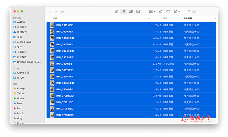 按 Command + A  鍵在 Mac 一次全選所有檔案