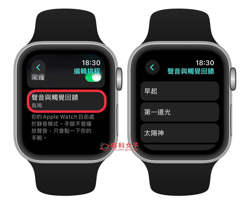 Apple Watch 起床鬧鐘鈴聲：聲音與觸覺回饋