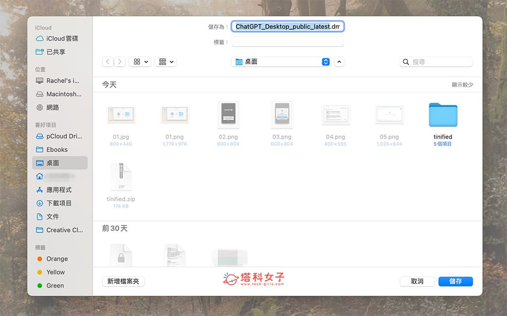 台灣用戶搶先下載官方 ChatGPT Mac 版方法：下載 dmg