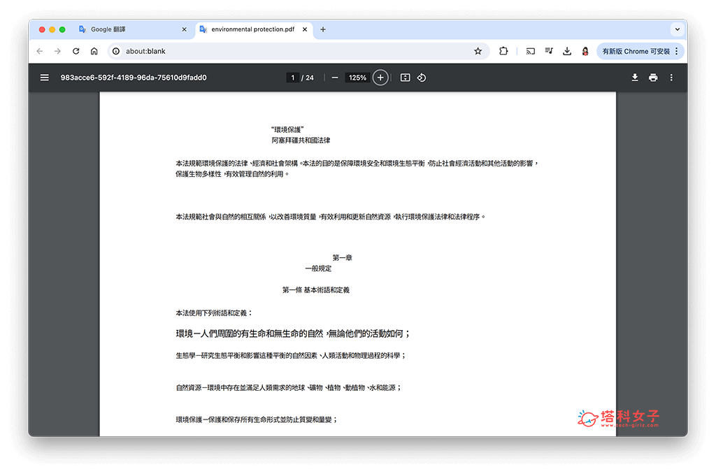 一次翻譯整份 PDF 文件：查看翻譯