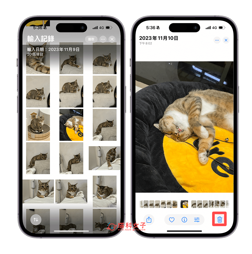 iPhone 相簿輸入紀錄刪除