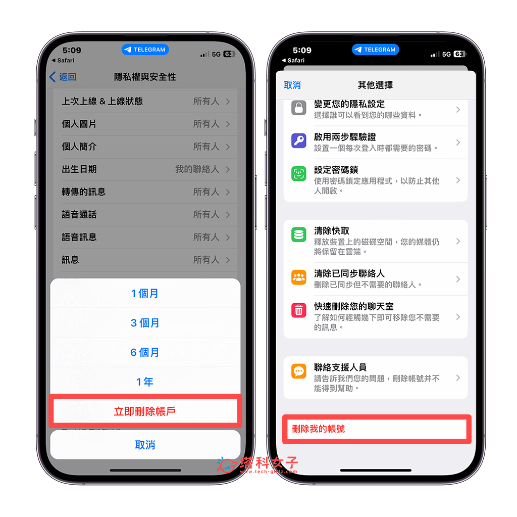 手機版 Telegram 刪除帳號：立即刪除 > 刪除我的帳戶