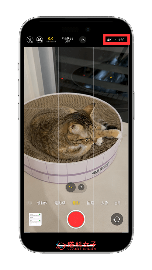 iPhone 16 Pro 拍攝 4K 120FPS 影片：切換格式