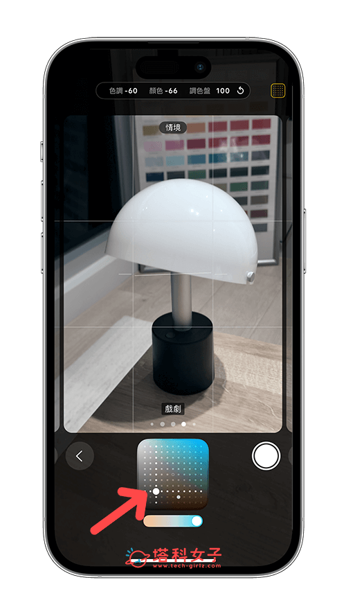 iPhone 16/16 Pro 攝影風格功能：調色盤