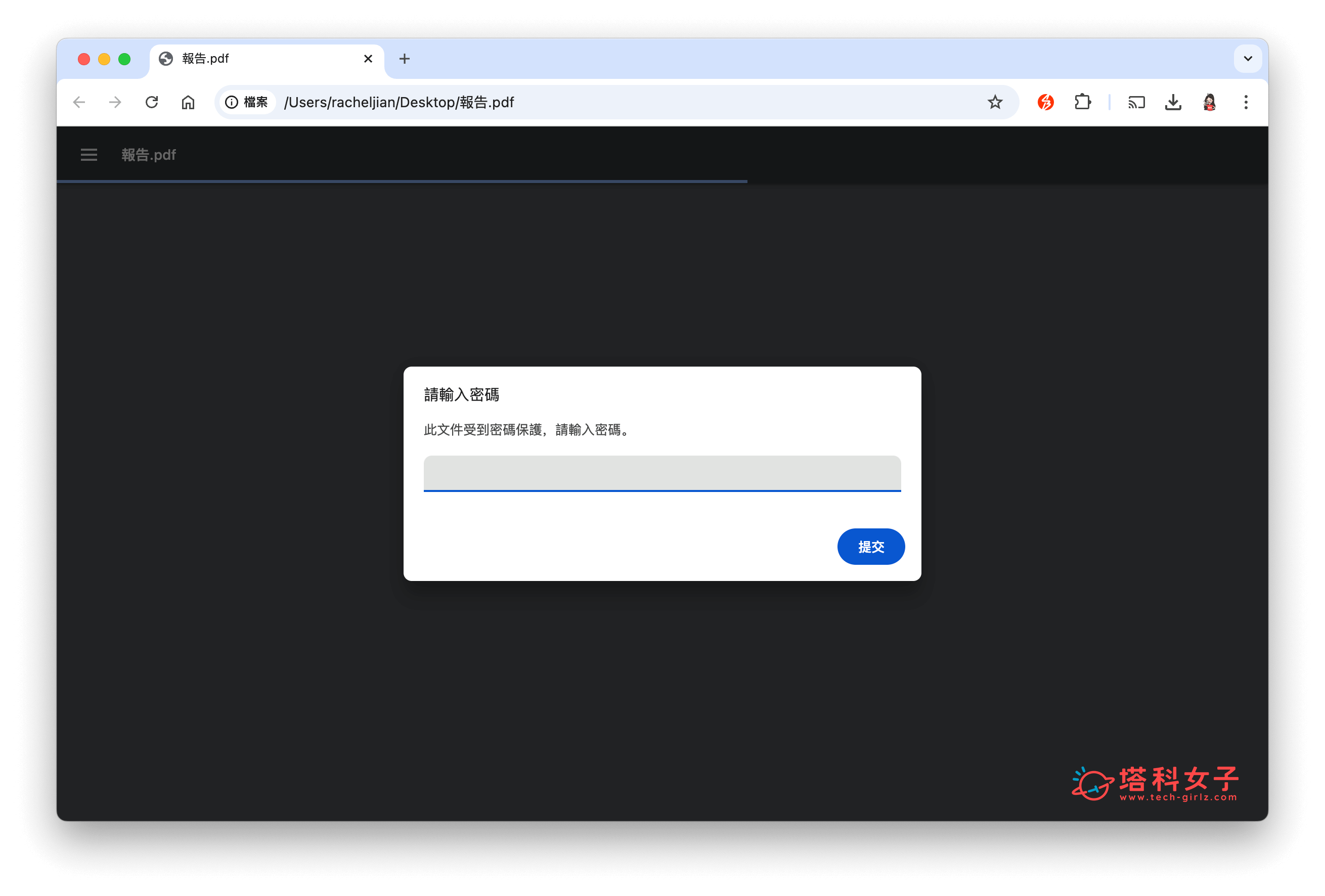 PDF 拖曳到 Google Chrome 瀏覽器視窗開啟，並輸入密碼