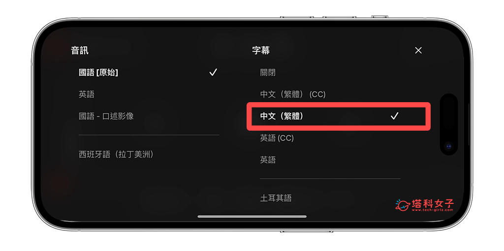 如何關閉 Netflix 字幕 聲音描述文字：選擇中文繁體選項