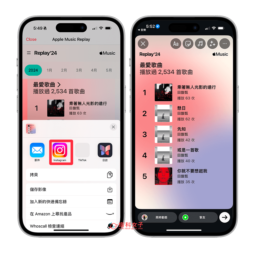 下載 Apple Music 年度回顧圖片或分享到 IG