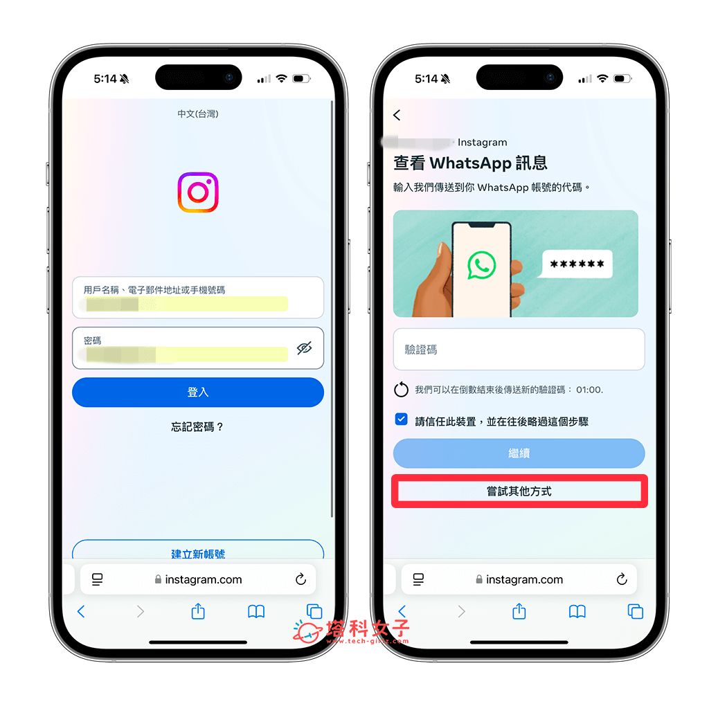 IG 登入時選擇嘗試其他方式