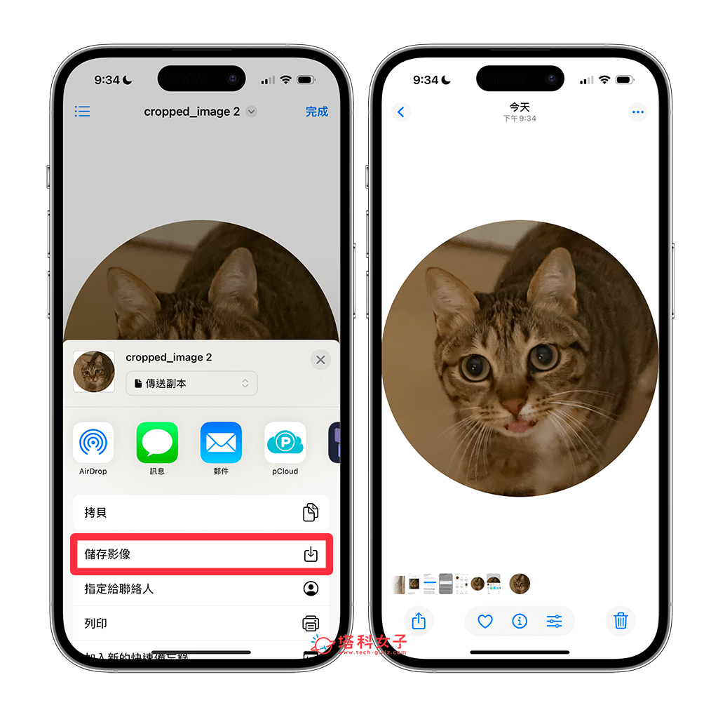 線上工具將 iPhone 照片裁切圓形：儲存影像