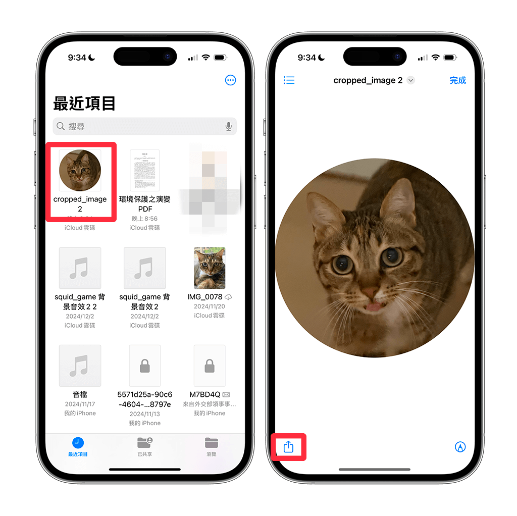 線上工具將 iPhone 照片裁切圓形：分享按鈕