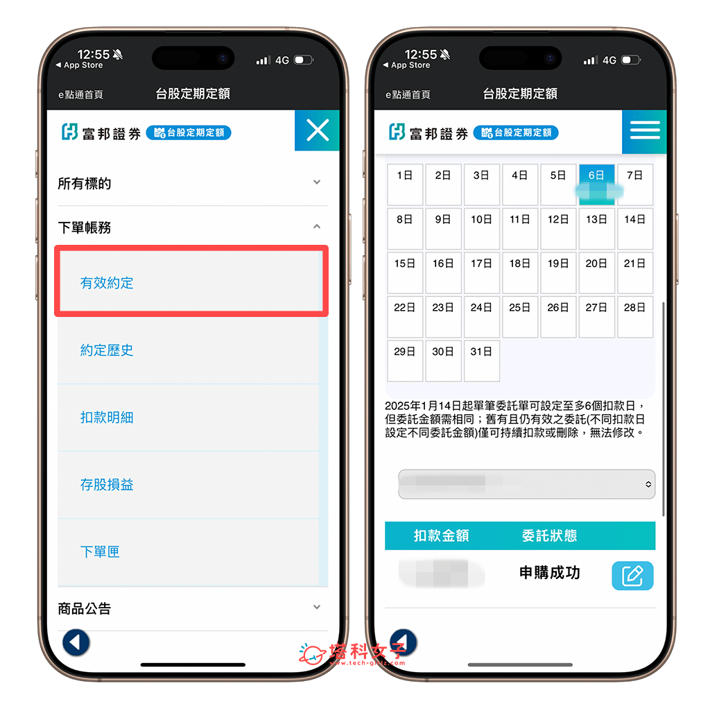 富邦e點通定期定額：查看結果