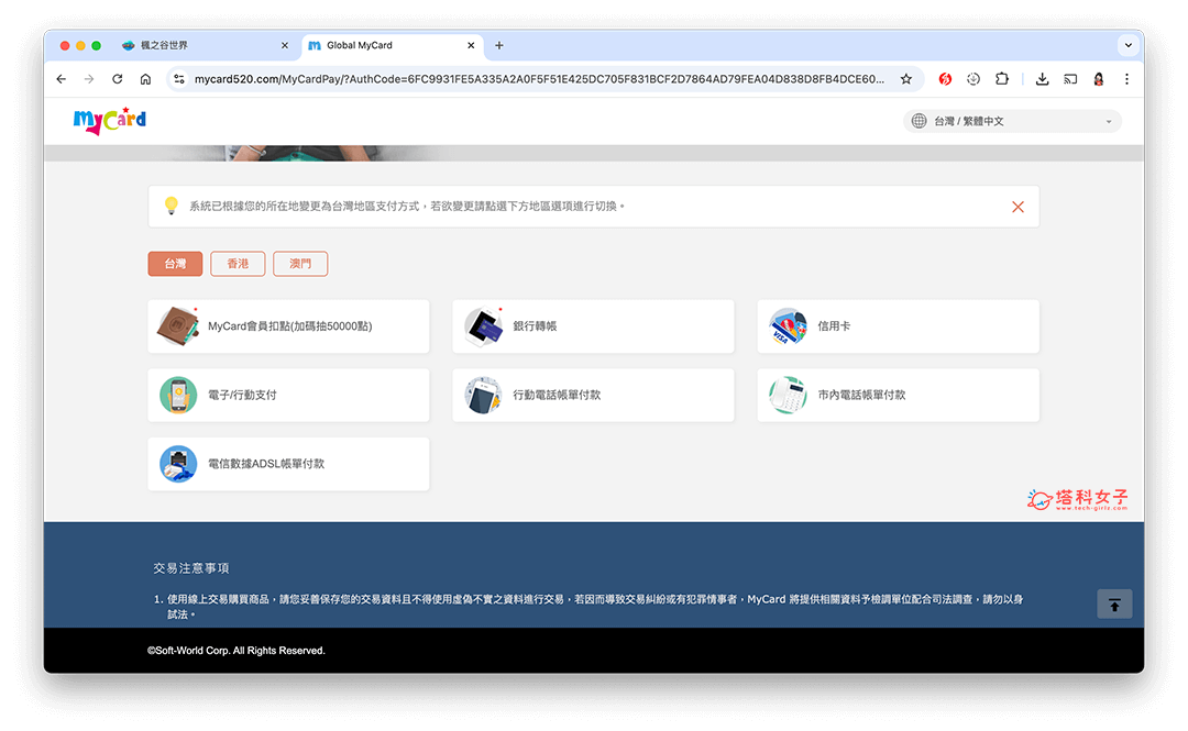 楓之谷 artale 購買寵物：付款方式