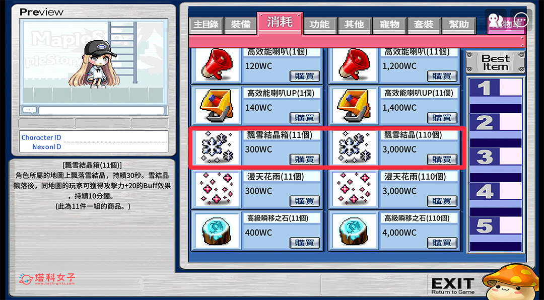 楓之谷 artale 雪花：購物商城