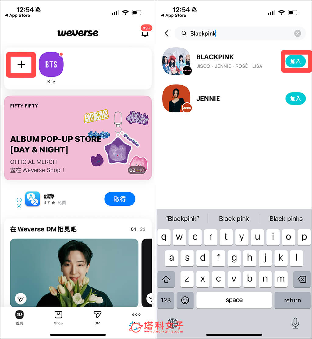 2025 BLACKPINK 會員 (Blink Membership): 登入