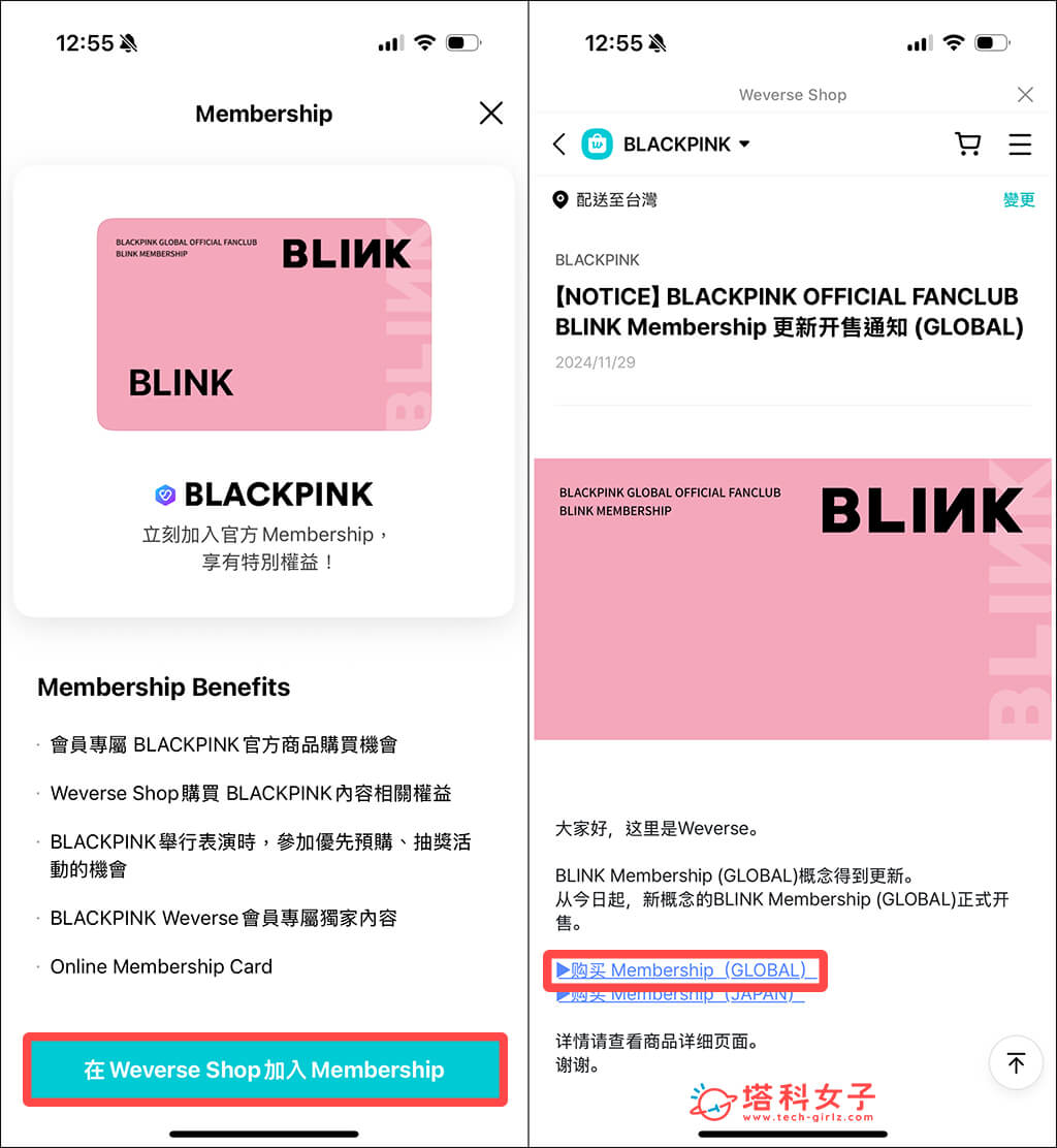 2025 BLACKPINK 會員 (Blink Membership): 購買