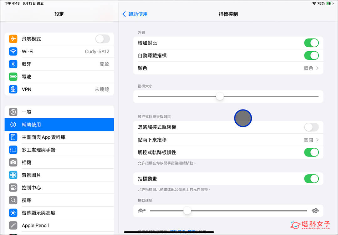 更改 iPad 游標設定