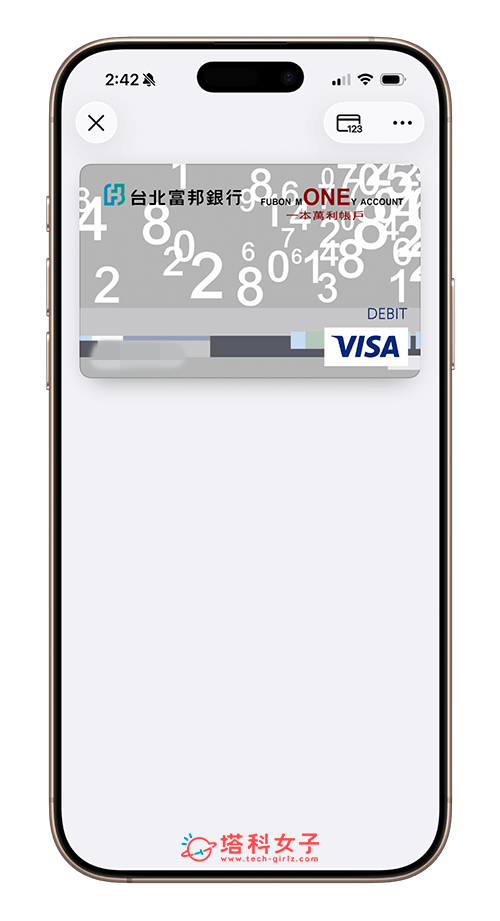 富邦金融卡 Apple Pay