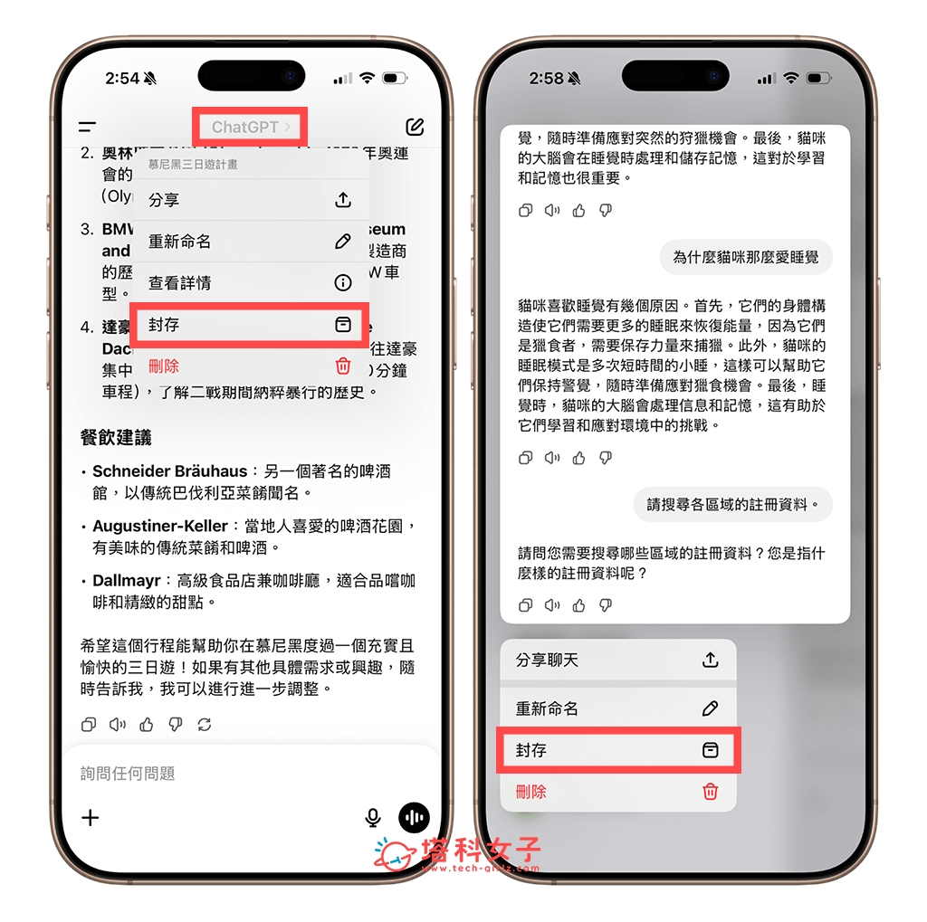 ChatGPT 封存單一聊天紀錄