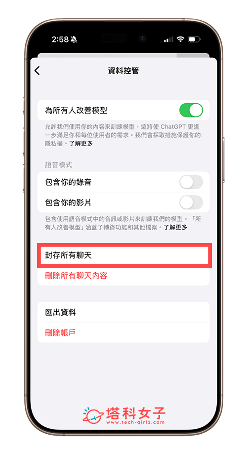 手機版 ChatGPT 一次封存所有聊天內容