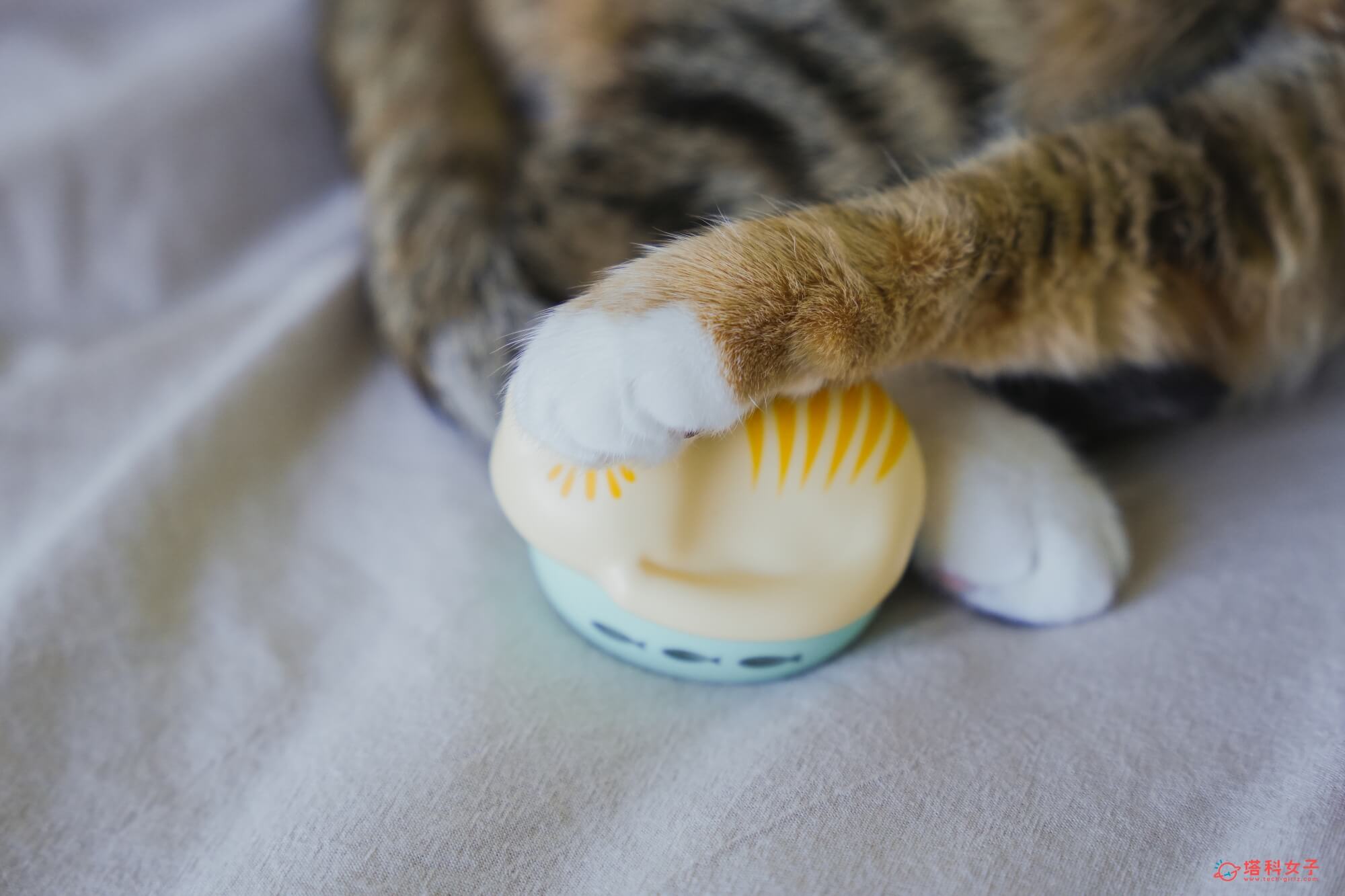 日本 radius NEKO 貓咪藍牙耳機充電盒 呼嚕模式