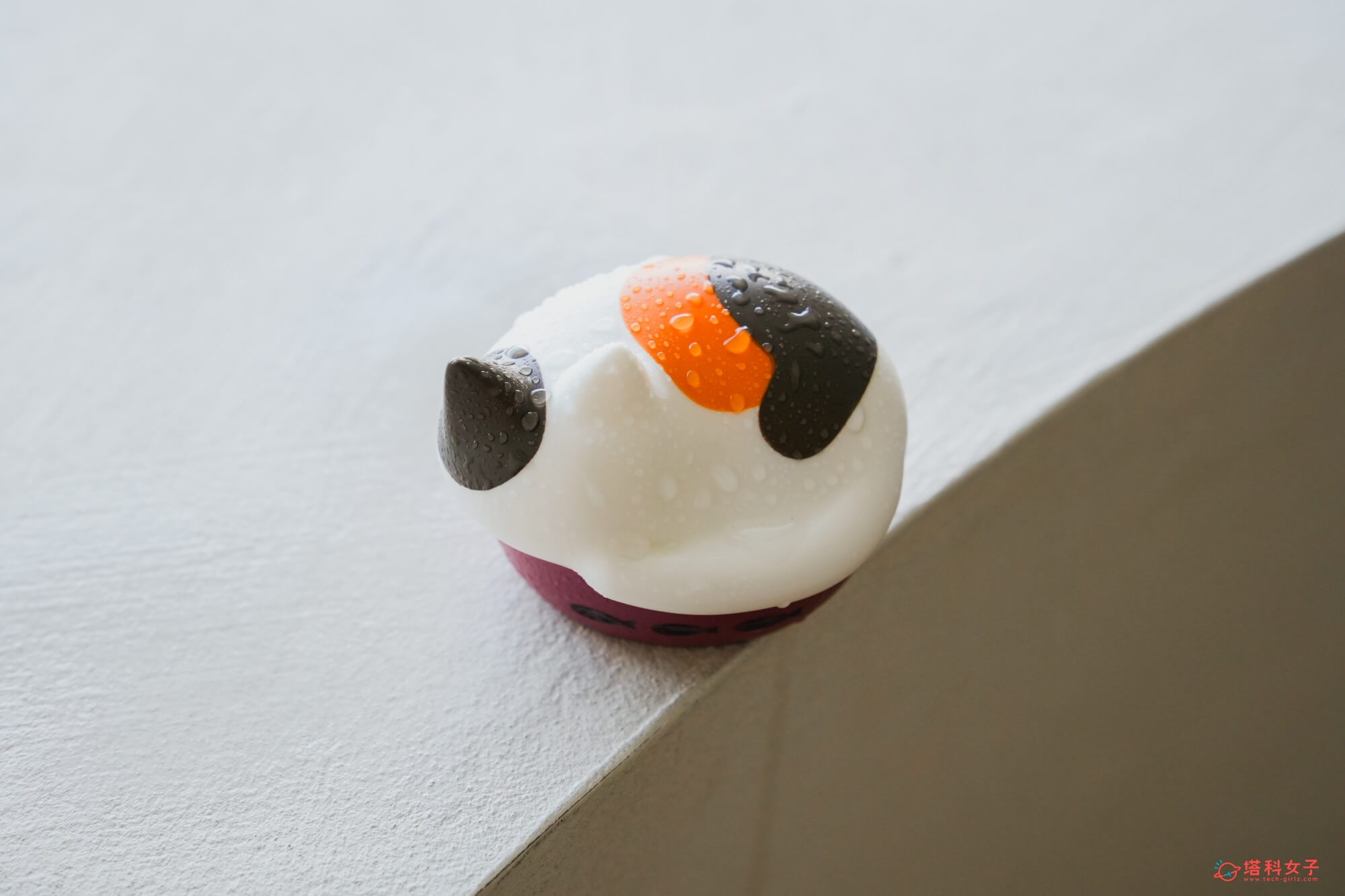 日本 radius NEKO 貓咪藍牙耳機充電盒 IPX4 防潑濺