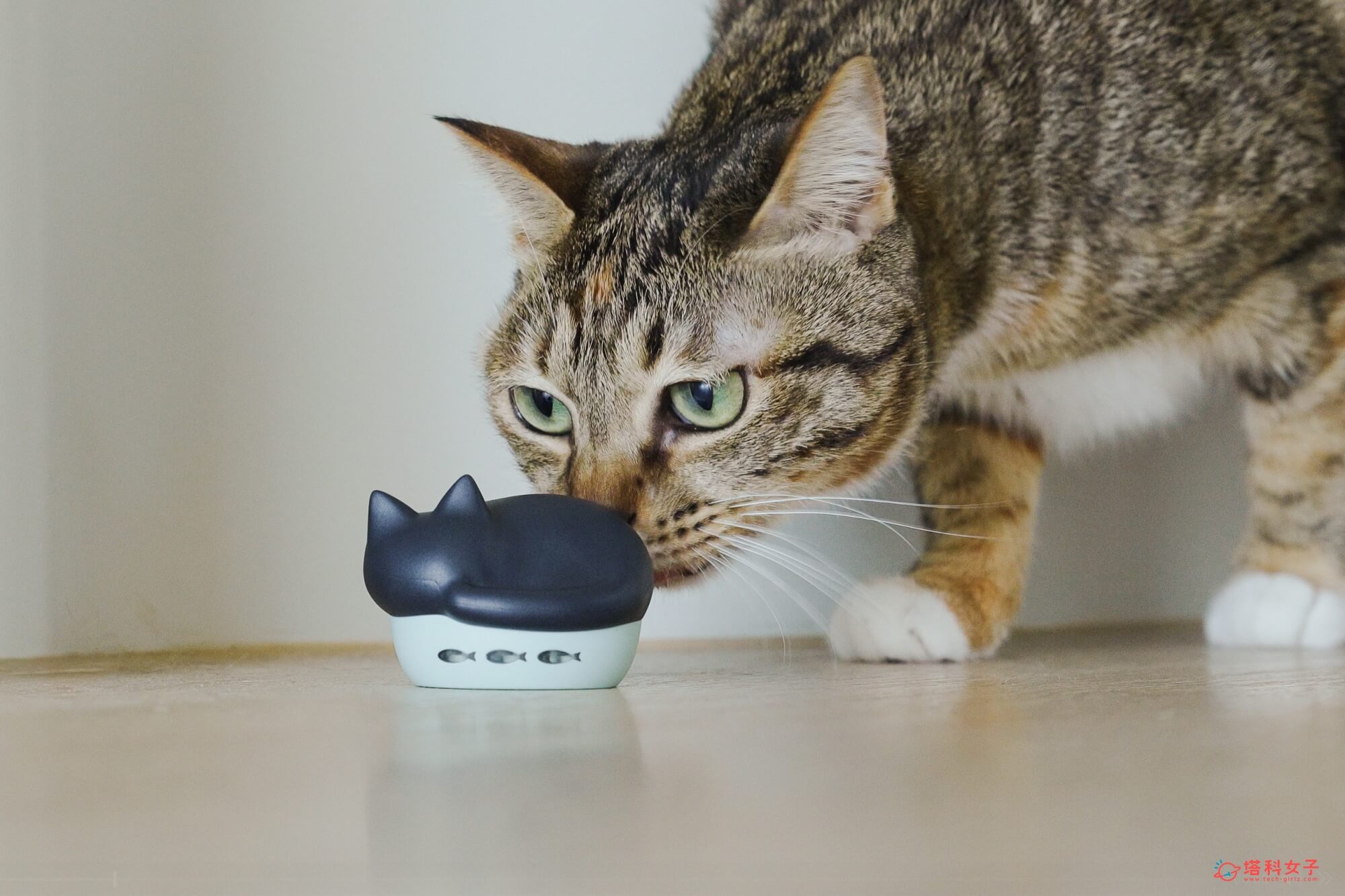 日本 radius NEKO 貓咪藍牙耳機充電盒 