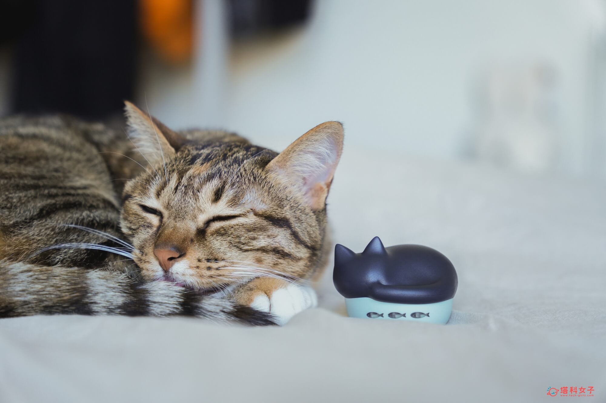 日本 radius NEKO 貓咪藍牙耳機 超可愛貓咪造型充電盒